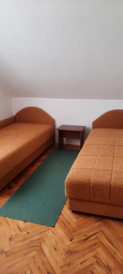 Privatni Smestaj Nanica Mataruska Banja Bagian luar foto