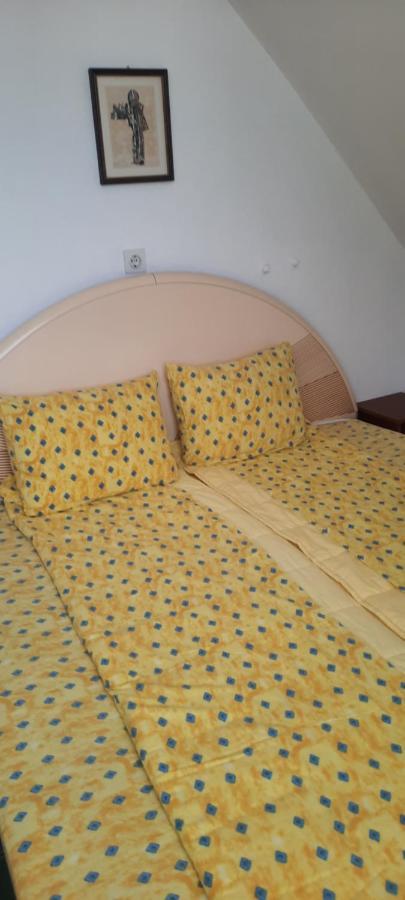 Privatni Smestaj Nanica Mataruska Banja Bagian luar foto