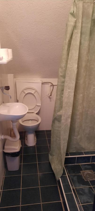 Privatni Smestaj Nanica Mataruska Banja Bagian luar foto