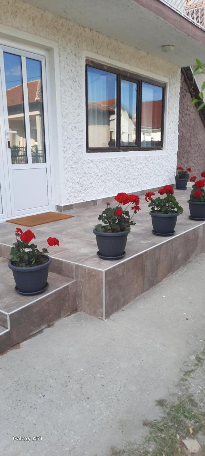 Privatni Smestaj Nanica Mataruska Banja Bagian luar foto